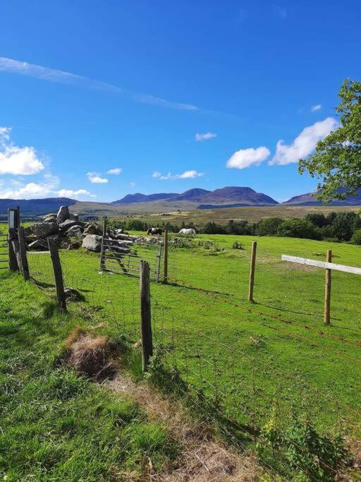 Trawsfynydd Cabinヴィラ エクステリア 写真